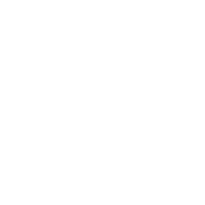 Cruzeiro Esporte Clube